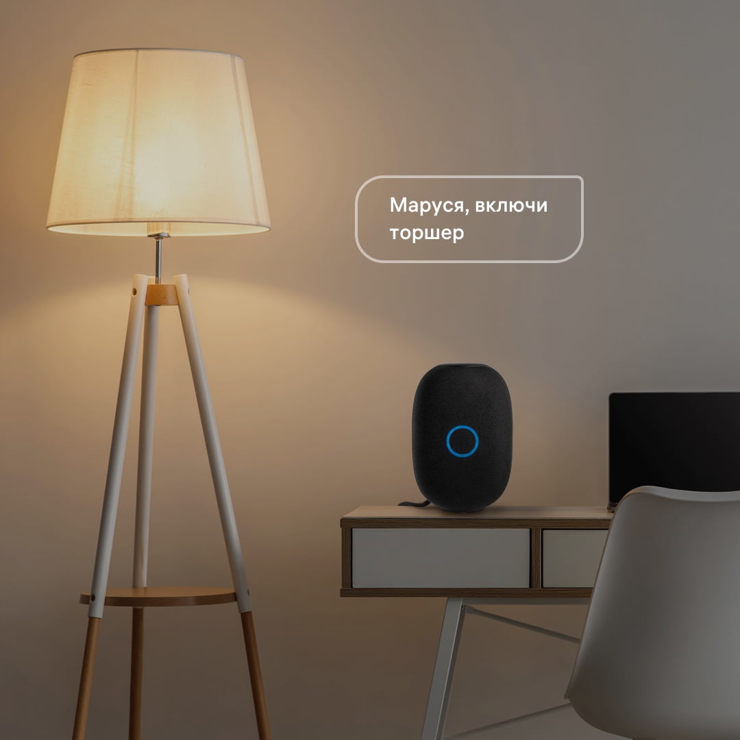 «Умный дом» на основе колонки VK Капсула