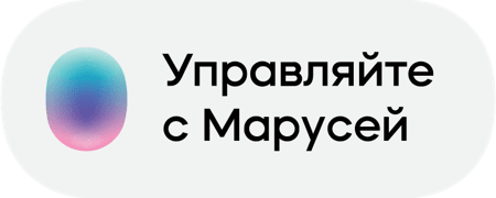 «Умный дом» на основе колонки VK Капсула