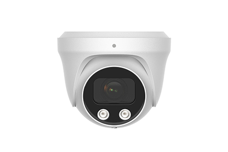  Видеокамера купольная (моторизованный объектив)