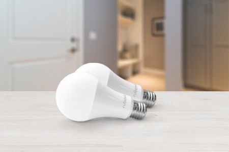 Комплект из 2-х ламп с датчиком движения и освещенности