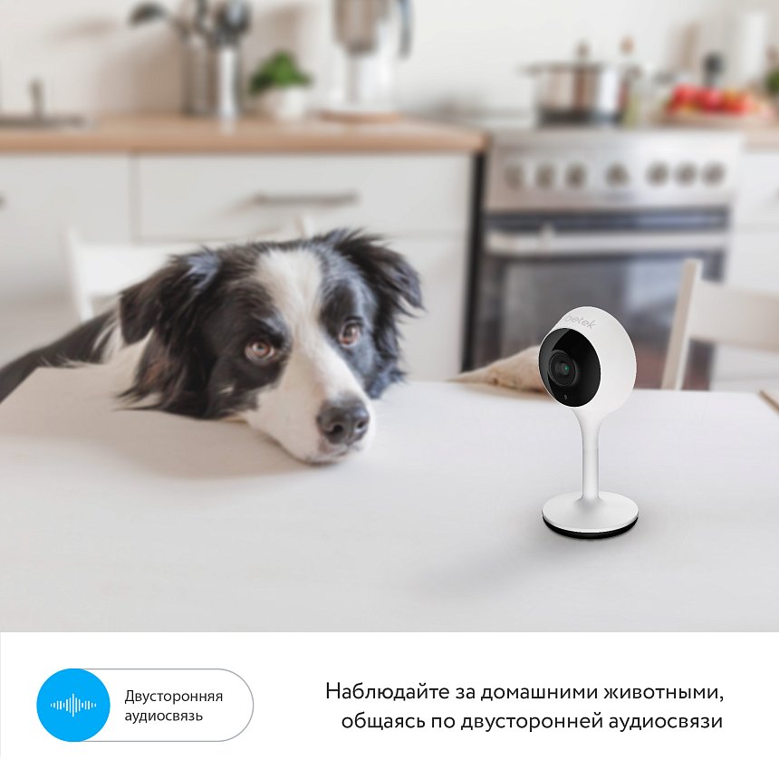 Wi-Fi камера RV-3419